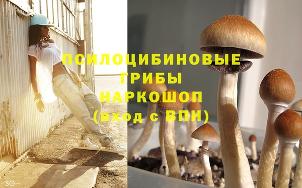 мяу мяу мука Алексин