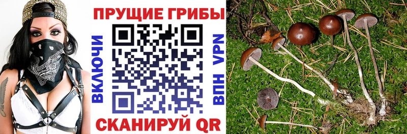 hydra как войти купить закладку Златоуст Псилоцибиновые грибы MAGIC MUSHROOMS