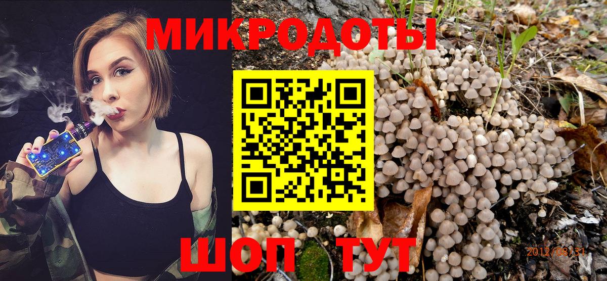 Галлюциногенные грибы MAGIC MUSHROOMS  Вход с VPN  что такое наркотик  Златоуст 